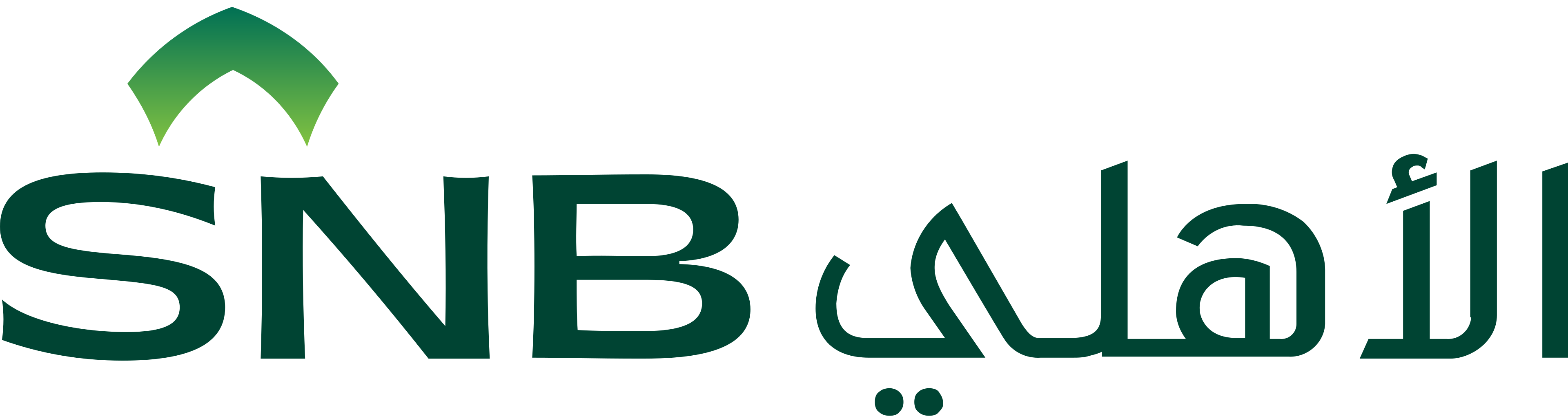 الأهلي SNB
